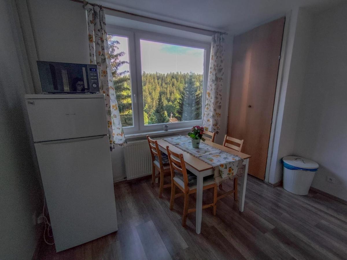 Apartmanek Protez Janske Lazne Ngoại thất bức ảnh