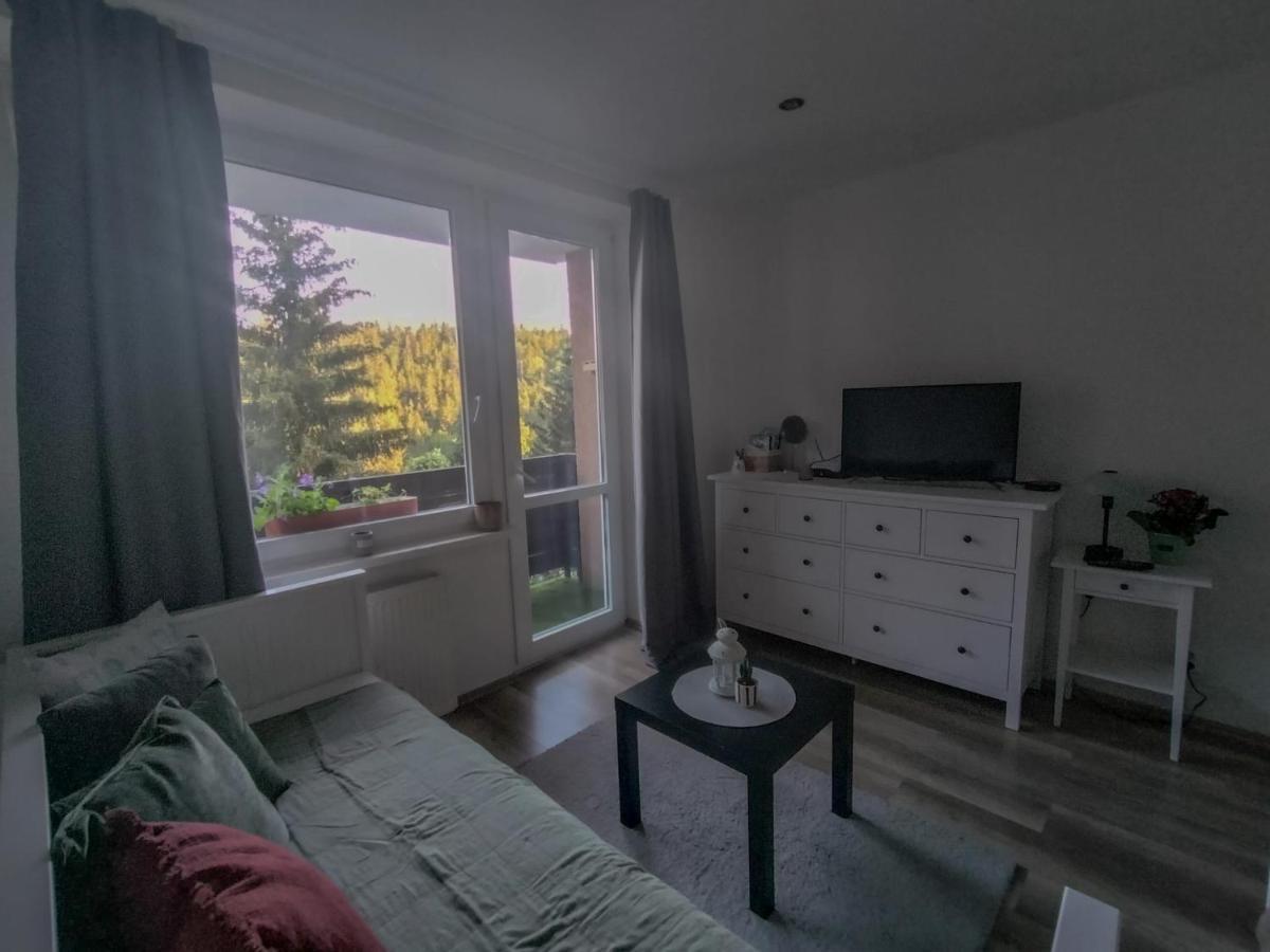 Apartmanek Protez Janske Lazne Ngoại thất bức ảnh