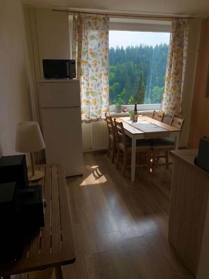 Apartmanek Protez Janske Lazne Ngoại thất bức ảnh